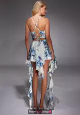 Blue/White