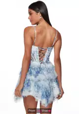 Blue/White