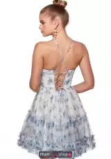 Blue/White