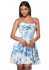 Blue/White
