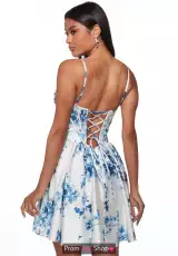 Blue/White