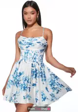 Blue/White
