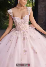 Blush Multi
