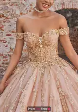 Blush Nude/Gold