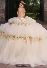 Champagne/Gold