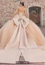 Champagne/Gold