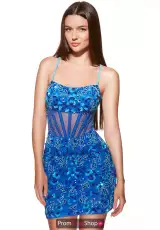 Royal/Turquoise