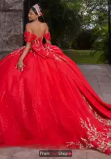 Scarlet/Gold