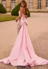 Light Pink Print