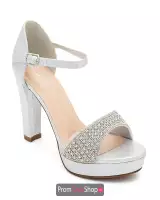 Silver Shimmer