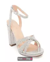 Silver Shimmer
