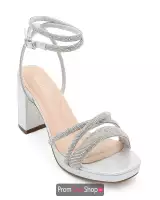 Silver Shimmer