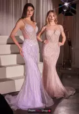 Lavender and Rose Pink