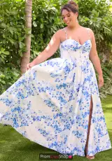 Blue Blossom