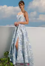 Blue Porcelain