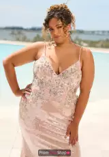 Blush Multi