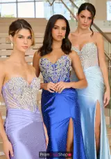 Bright Peri, Royal, Ice Blue