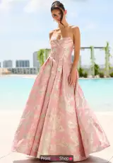 Pink Chateau