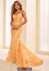 Apricot