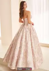 Blush/Light Gold