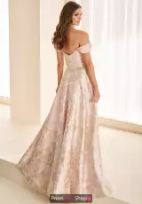 Blush/Light Gold