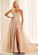 Champagne/Multi