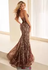 Chocolate/Gold