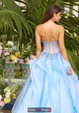 Periwinkle