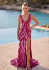 Fuchsia