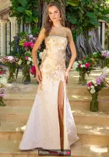 Ivory/Gold