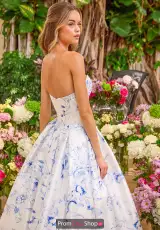 White/Blue