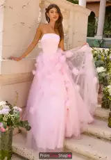 Ice Pink