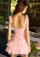 Blush