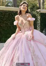Light Pink/Gold