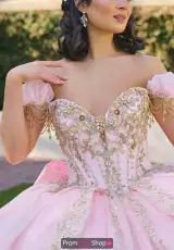 Light Pink/Gold