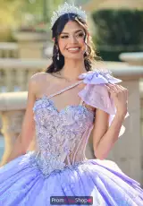 Lilac/Silver