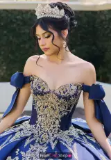Navy/Gold