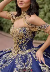 Navy/Gold