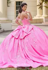 Bubble Gum