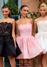 Black/Nude, Pink, Ivory/Nude