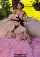 Champagne/Gold and Rose Gold