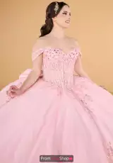Crystal Pink/Pink