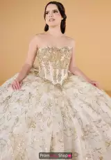 Ivory/Gold