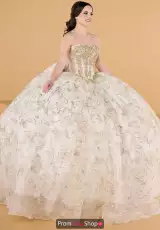 Ivory/Gold