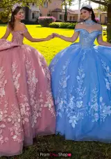 Rose and Ocean Blue