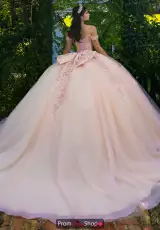 Pink/Champagne