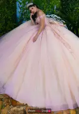 Pink/Champagne