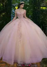 Pink/Champagne