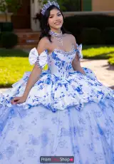 Royal Floral