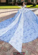 Royal Floral
